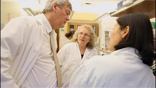 Looking for a Lupus Cure | Betty Diamond, MD