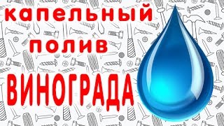 Капельный полив винограда с применением кеги 30 литров. своими руками.