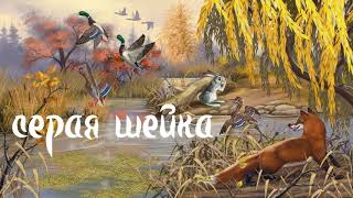 Сказка "Серая Шейка" Мамин-Сибиряк, для тех кто любит природу