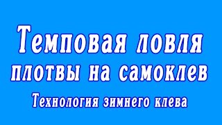 Темповая ловля плотвы на самоклев | Технология зимнего клева
