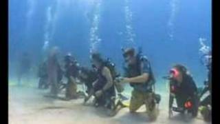 Roatan Honduras (Dolphin Dive) 2006 - long
