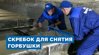 Производство газоблоков. Скребок для снятия горбушки от компании «АлтайСтройМаш»