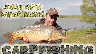ЛОВЛЯ КАРПА РАННЕЙ ВЕСНОЙ. Тактика по холодной воде.