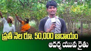 Young Farmer Success Story in Natural Farming || High Profit Cultivation || Suman TV Rythu