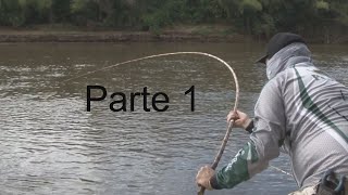 PESCA DE CURIMBA VARA DE BAMBU RIO MIRANDA PARTE 1