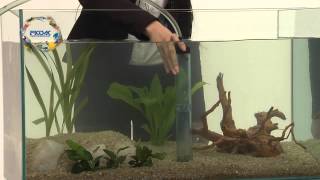 PRODAC - Guida al cambio dell'acqua dell'acquario