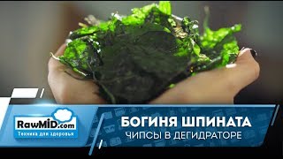 Сырые чипсы из шпината - рецепт для дегидратора (пищевая сушилка)