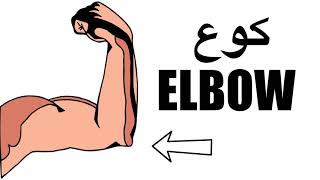 Learn Arabic - Parts of the Body in Arabic - Easy Arabic Lesson Video