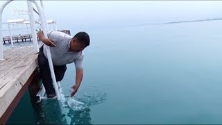 Ысык-Көл: суудагы так элди чочутту