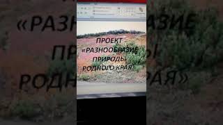Проект Разнообразие природы Красноярского края