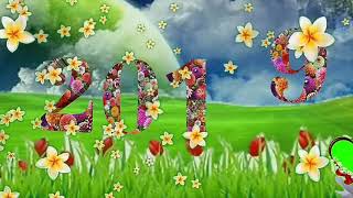 Wedding green screen effect background beautiful frame