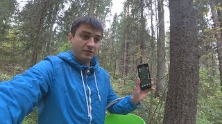 ВЛОГ: ПОЕХАЛ ЗА ГРИБАМИ И ЗАБЛУДИЛСЯ