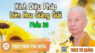 Kinh Diệu Pháp Liên Hoa Giảng Giải phần 30 - Thầy Thích Trí Quảng giảng pháp