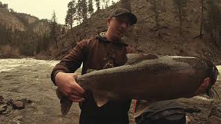 Nonstop Steelhead on the Clearwater River!