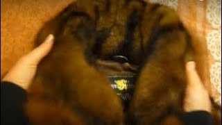 ВОРОТНИК ИЗ КАПЮШОНА НЕ ОТПАРЫВАЯ