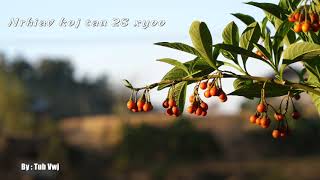 Kuv nrhiav koj tau 28 xyoo 3/03/2019