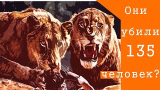 Львы-людоеды из Цаво. Серийные убийцы или жертвы человеческой безответственности?