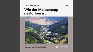 Wie der Meisensepp gestorben ist - Teil 2
