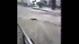 Шок! В Ялте ливнем смыло женщину . Крым. Потоп