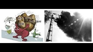 吃出癌症，保健品「功不可沒」。最好的補品是這六種，近在咫尺