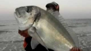 RAUL MARIO PESCA DORADA GIGANTE !! 7 KILOS SURFCASTING GOLIATH FISHING