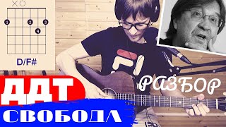 СВОБОДА ДДТ Я ЕДУ К ТЕБЕ ? подробный видео разбор песни под гитару АККОРДЫ ПЕРЕБОР Юрий Шевчук