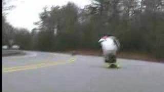 Downhill longboard cam