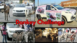 MG Hector On Donkey