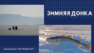 Зимняя донка