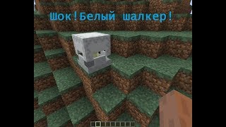 Шок!!! Белый шалкер в майнкрафт!!!