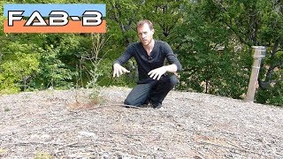 Toiture végétalisée extensive et alternative : 2 ans plus tard
