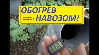Навозная печь в теплице.Огурцы уже едим //Сельское подворье на Урале//