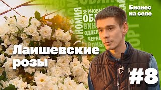 Бизнес на селе #8. Лаишевские розы, как венец цветочного импортозамещения