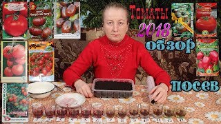 Подробный обзор и посев томатов 2018