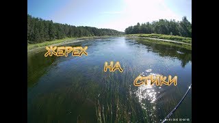 Мой первый опыт в ловле жереха на Тверце!На стики С АлиЭкспрес