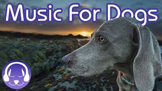 Soothing Dog Music: The BEST New Music for Relax Your Dog!
