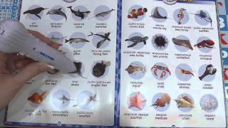 Подводный мир, underwater world - учим английский для детей в картинках
