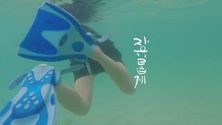 다자란소년의 제주산책 01. 한담 바닷속 산책