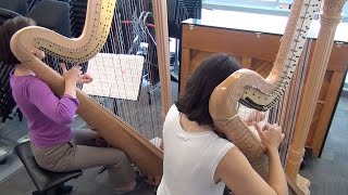 Insight: Mozetich's Concerto for Two Harps