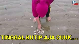 cara mencari kerang kepah dipinggir pantai