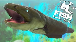 ЭЛЕКТРИЧЕСКИЙ УГОРЬ БЬЁТ ВСЕХ ТОКОМ, ОБНОВЛЕНИЕ | Feed and Grow Fish