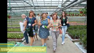 Тепличный комбинат «Егорьевский», Московская обл , Раменский р н