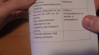 Три группы обрезки клематисов.