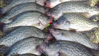 Crappie Fishing Lake Tawakoni  BNB Crappie Jigs 2010