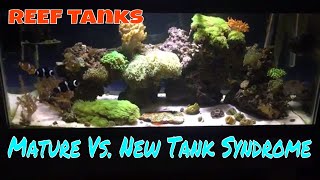 Mature Reef Tank VS. Brand New Reef Tank: Making Your Reef Tank Suit Your Lifestyle