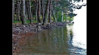 ГОРЬКАЯ ПРАВДА О КАХОВСКОМ ВОДОХРАНИЛИЩЕ Новая Каховка 8 08 2018