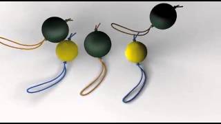 Медицинский мяч с резинкой Extreme Converta Balls