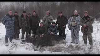 Охота на лося. Зима 2018