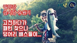[세모낚TV]밀양강 금시당유원지 빅배스/박무석의 빅바이트4회/러버지그, 헤비커버,런커/bass fishing/korea