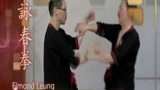 Wing Tsun Kick